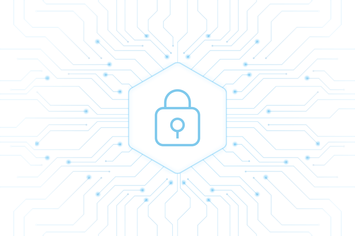 Privacy and Security is in our DNA